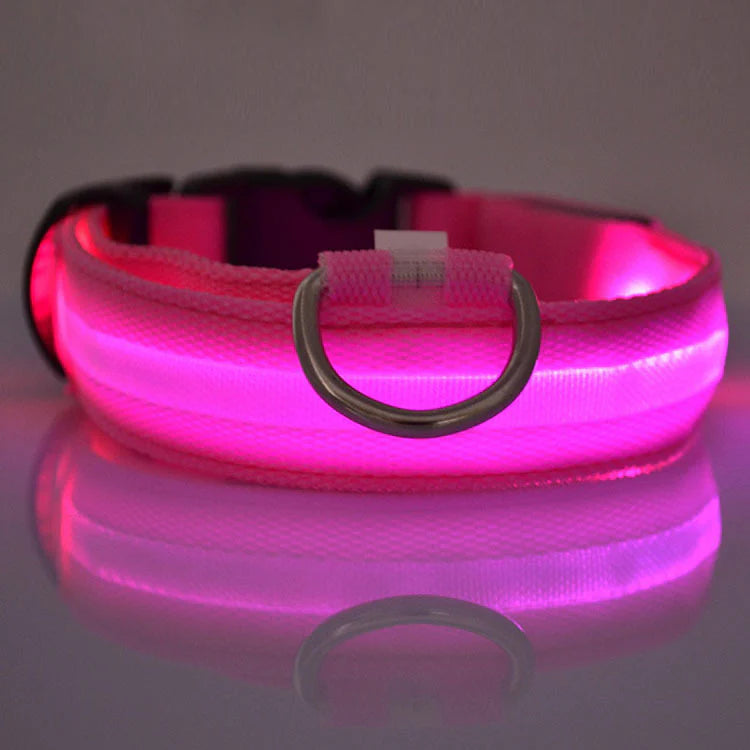 Fell-Freund™ - LED Hundehalsband