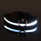 Fell-Freund™ - LED Hundehalsband