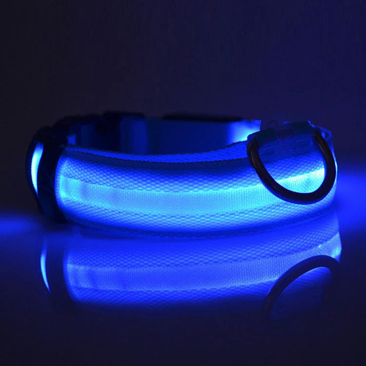Fell-Freund™ - LED Hundehalsband