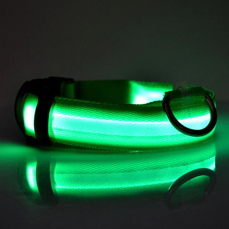 Fell-Freund™ - LED Hundehalsband