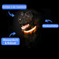 Fell-Freund™ - LED Hundehalsband