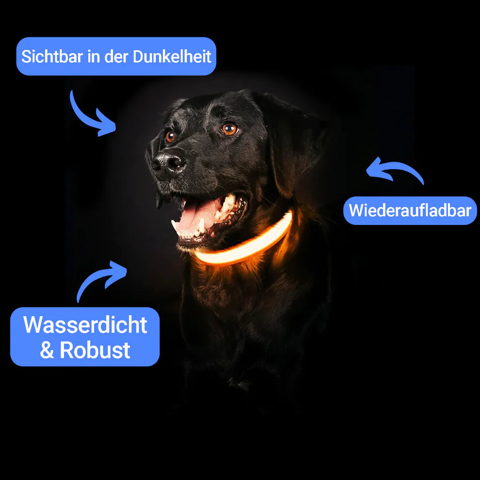 Fell-Freund™ - LED Hundehalsband