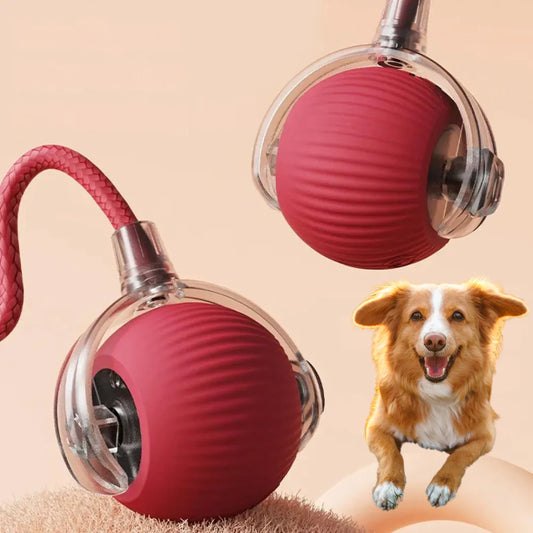 Fell-Freund™ Magie-Ball